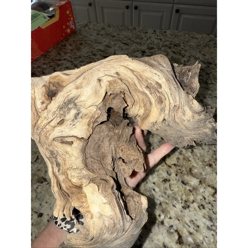Driftwood taxidermy‎ log super super cool pieceThis very old. Flower arrangement